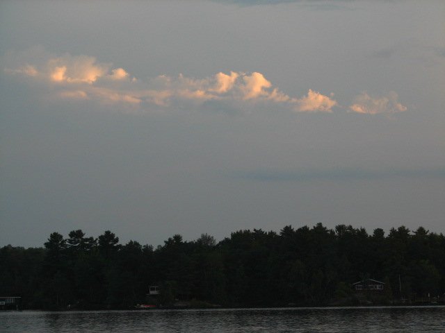RICHARDCAM (217)